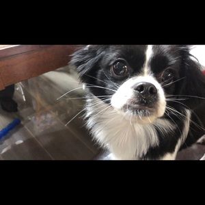 Meet your Posher, Tien